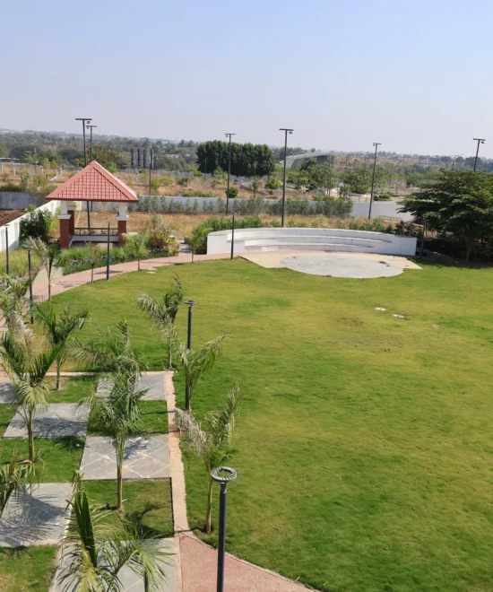 Open Lawn